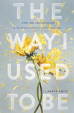 The Way I Used To Be by Amber Smith